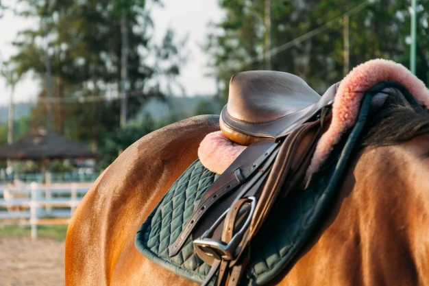 Heritage Leather, Equestrian Excellence
